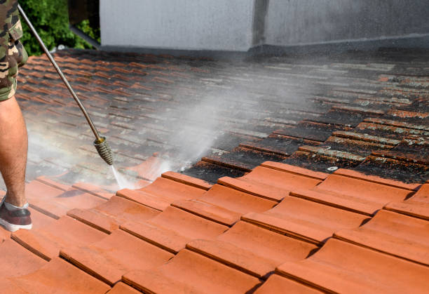 Best Roof Pressure Washing  in Grayslake, IL