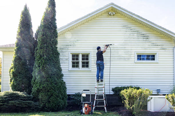 Best Commercial Building Pressure Washing  in Grayslake, IL