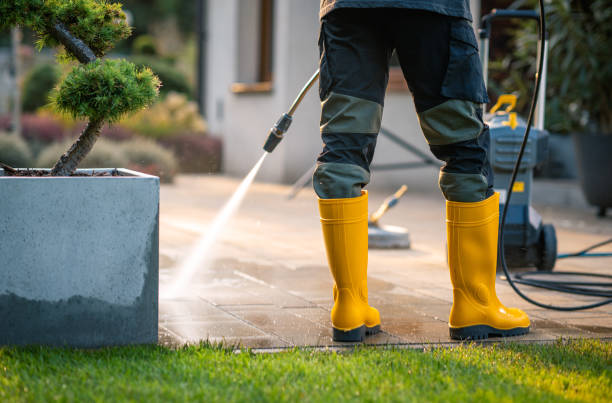 Deck Cleaning Services in Grayslake, IL
